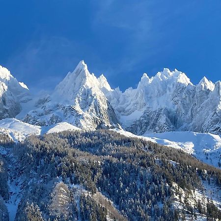 Chamonix Superbe Appartement Vue Mont Blanc Kültér fotó