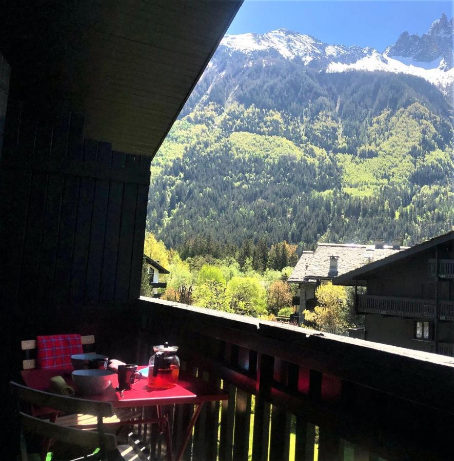 Chamonix Superbe Appartement Vue Mont Blanc Kültér fotó