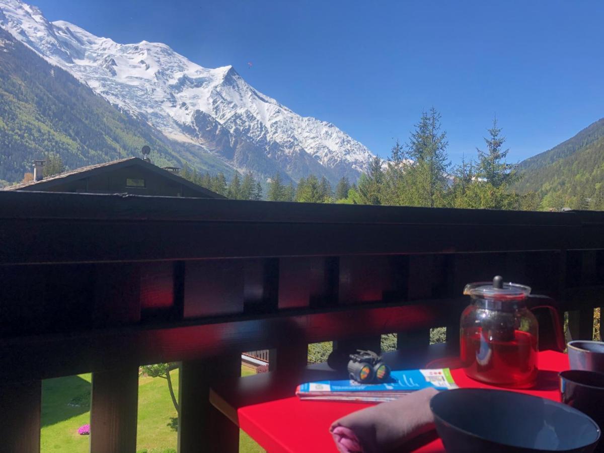 Chamonix Superbe Appartement Vue Mont Blanc Kültér fotó